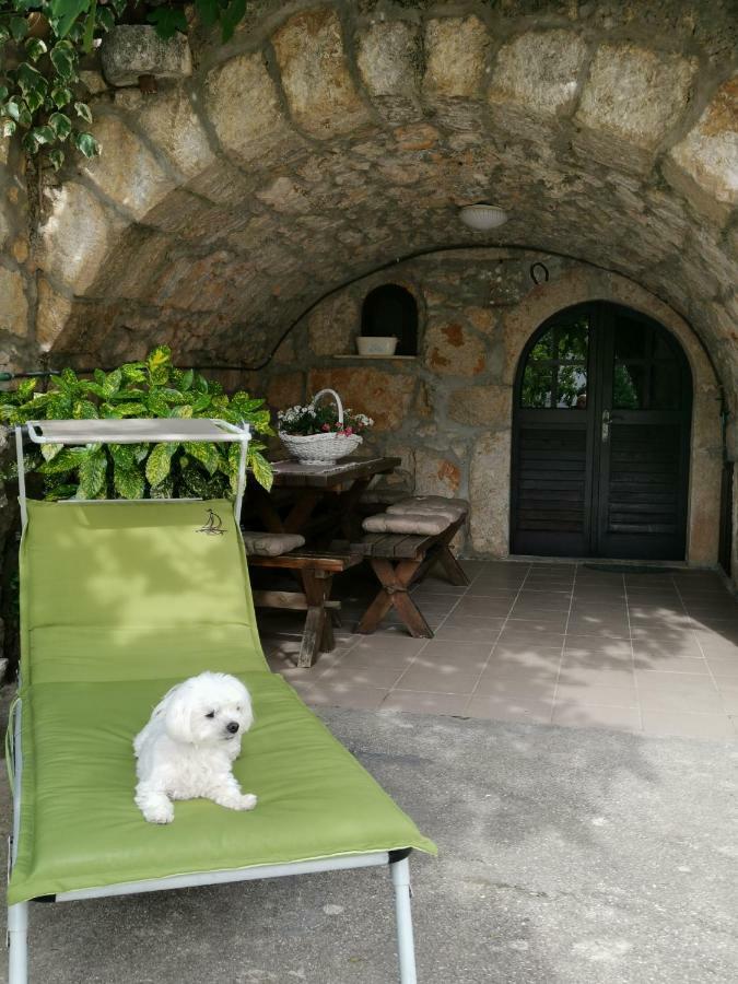Guest House Otto 普纳特 外观 照片
